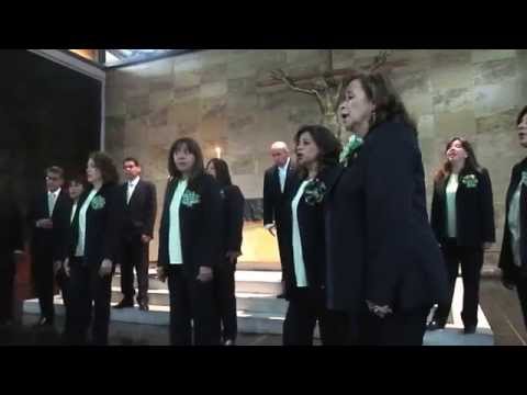 Luz de mis pupilas (Villancico) - Coral Ricercare