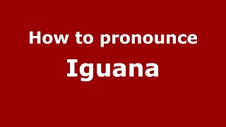 How to pronounce Iguana