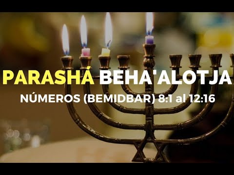 Parasha: Behaloteja (Números 8:1-12:16)