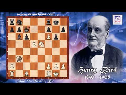 Game of the Day! Bird vs Pinkerley 1850