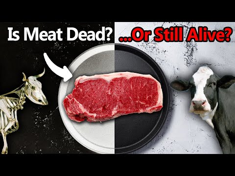 Could we resurrect a steak?