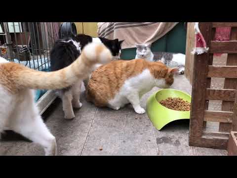 初!ソロキャン!設営編