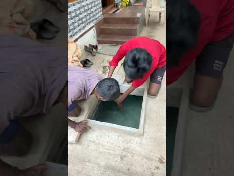 Unaku lam ila pa‼️#shorts