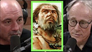 Joe Rogan | The Strange History of the Denisovans w/Graham Hancock