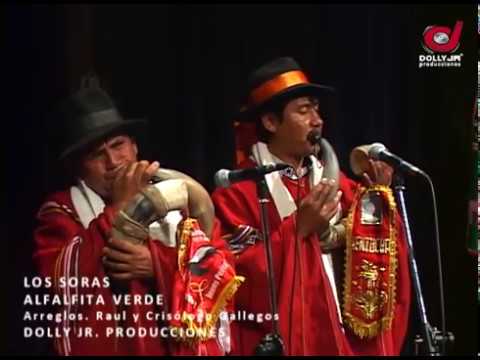 LOS SORAS  :  ALFALFITA VERDE