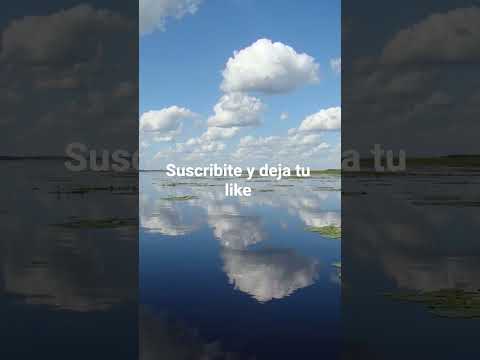 Mburucuya Corrientes