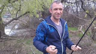 Рыбалка в эти дни на кубани