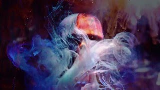 Rider to the sea - Anna Calvi tribute by Jeanny has had a nightmare