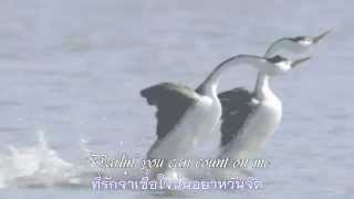 Devoted To You :  The Everly Brothers