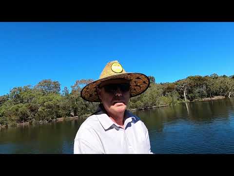 14 Arinya St, Wurtulla, QLD 4575, 3 Bedrooms, 2 Bathrooms, House