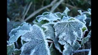 I Will Learn to Love the Fallow Way