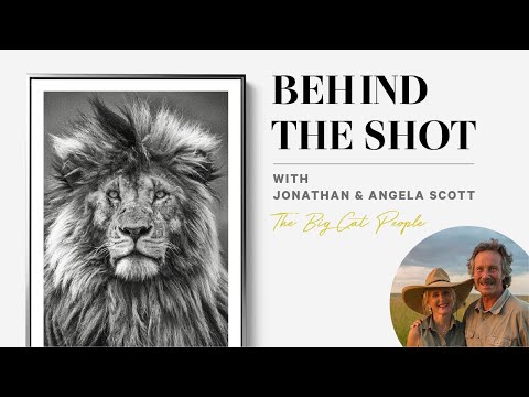 'Behind the Shot' with Wildlife Photographers Jonathan & Angela Scott | Scarface: The Real Lion King