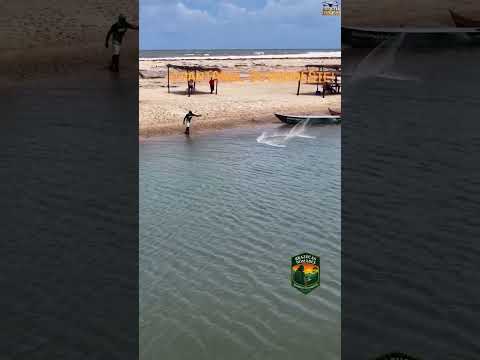 O pantanal  do Nordeste!