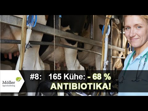 165 Kühe melken plus Nachzucht: Milchviehbetrieb aus Niedersachsen senkt Antibiotikaeinsatz! #8