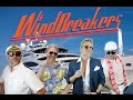 The Windbreakers (compilation)