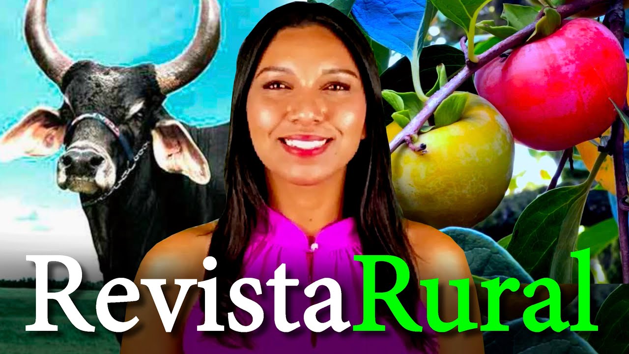 PROGRAMA REVISTA RURAL - 27/04/2025