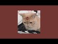 Falling In Love Sped Up Playlist