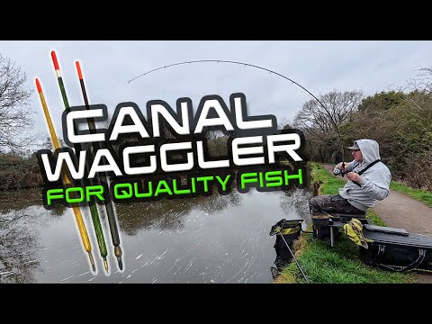 Canal Waggler For Quality Fish!