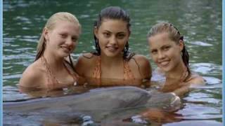 Kate Alexa: you&#39;re everything(Lyrics)