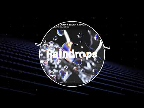 Sander van Doorn x Selva x Macon - Raindrops (feat. Chacel) - (RAMEDI Remix)