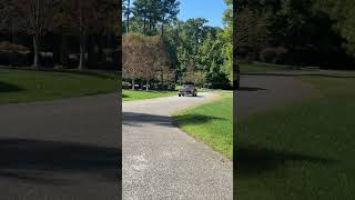 1966 Mercedes Benz 230SL - Drive By