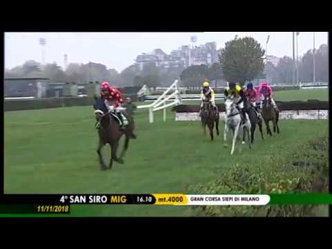 2018.11.11 Gran Corsa Siepi di Milano (ITA) - Champ De Bataille