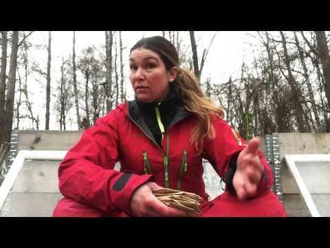 13 supersorter att lagra Självhushållning De här sorterna är toppen för en självhushållare!