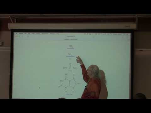 36. Ahern's BB 350 at Oregon State University - Nitrogen Metabolism II