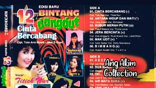 Download lagu CINTA BERCABANG REMIX || TITIEK NUR mp3