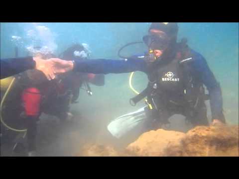 Video - Diving School