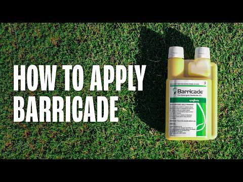 Everything to know about BARRICADE HG