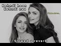 First video | slowed + reverb version of Kehndi haan kehndi naa 🔥
