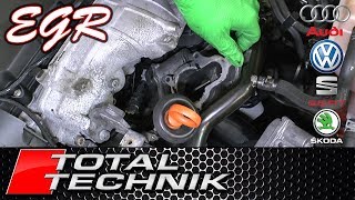 How to Test EGR Valve using VCDS - Audi VW Seat Skoda (ALL MODELS) - TOTAL TECHNIK