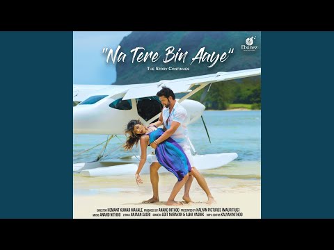 Na Tere Bin Aaye — watch video