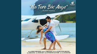 Na Tere Bin Aaye by Udit Narayan, Alka Yagnik