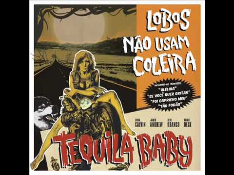 Canção Que Fala De Um Amor Perfeito - Tequila…