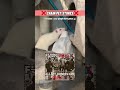 10 Common Pet Rat Care Mistakes Part 2