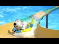 Bernard Bear Backkom Pool Guard And More Cartoons For Kids Children