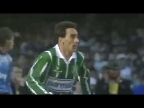 Palmeiras 4 x 0 Corinthians   Melhores Momentos   Final Do Campeonato Paulista 1993