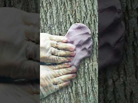 How To Secretly Kill A Tree: Ultimate Guide