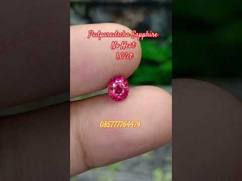 No Heat padparadscha... 085777764474 #ruby #sapphire #emerald