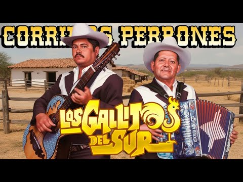 Norteñas De Acordeon Mix and Rancheras Favoritas De Mexico