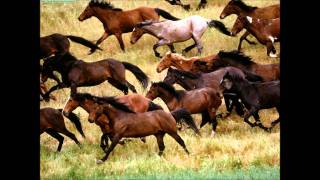 Willie Nelson & The Nelson Family  -  Wild Horses