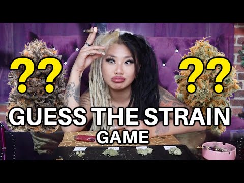 GUESS THE STRAIN GAME🔥 *harder than i thought lol* | Kimmy Tan