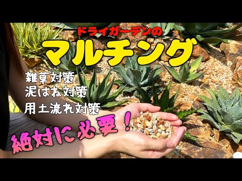 ニンニクやネギを冷凍から守る方法