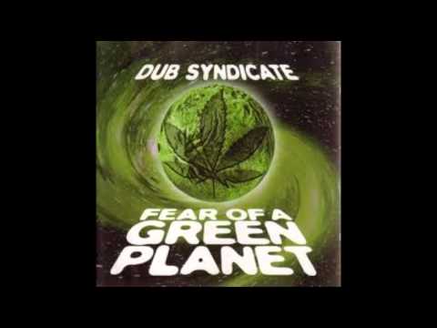 Dub syndicate - Not a word