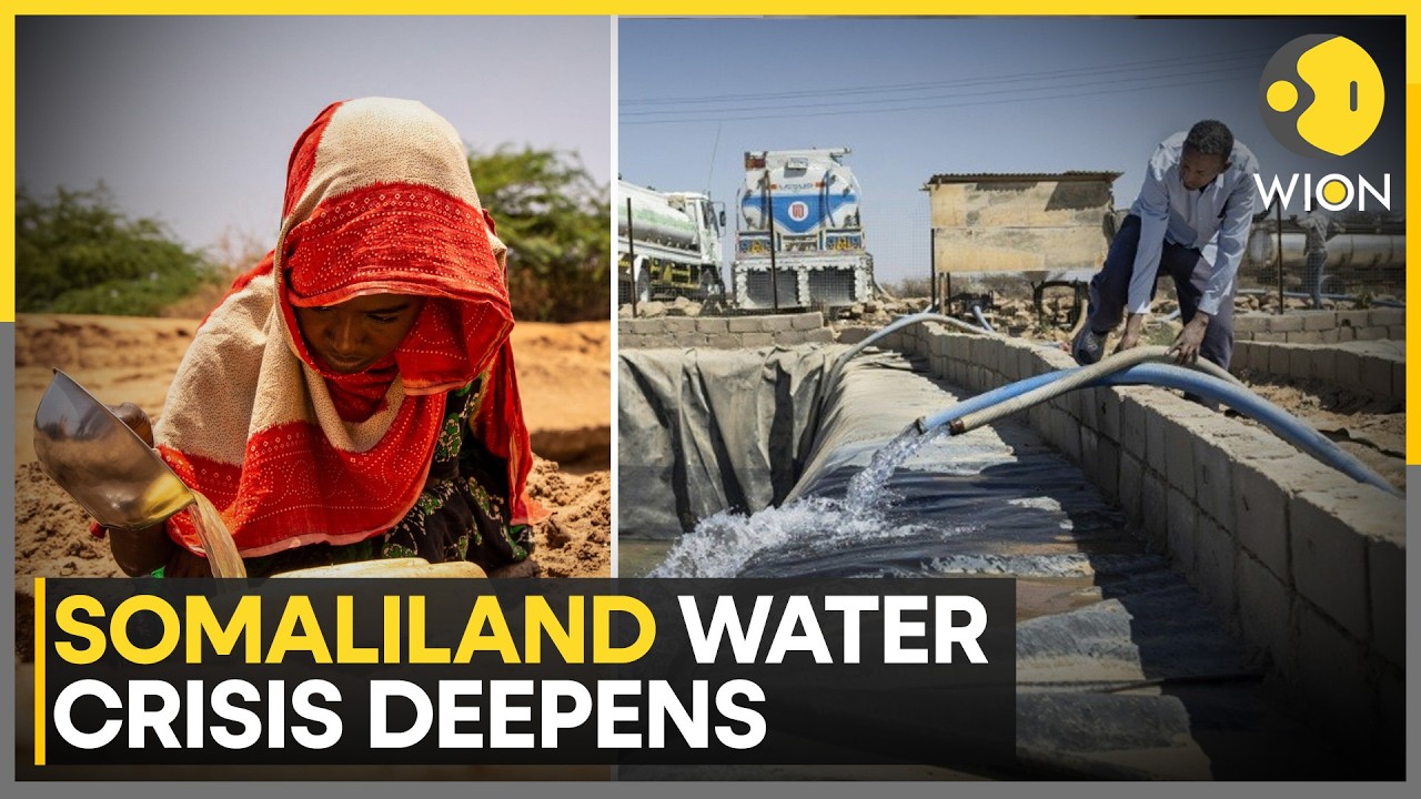 Facing Drought, Somaliland Turns to Israel for Water Management Support | WION