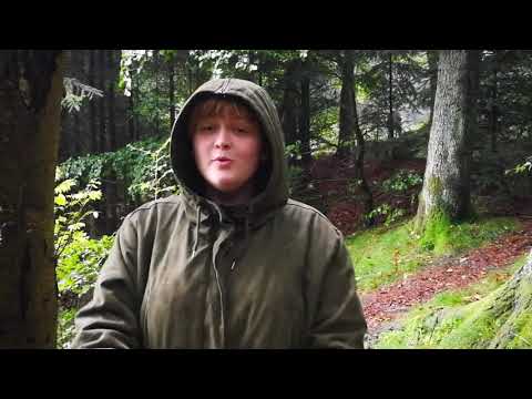 Randmorene Dronninglund storskov