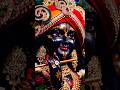 Mujhpe Chadha Krishna Ka Rang ️ Shorts Bhakti Krishna