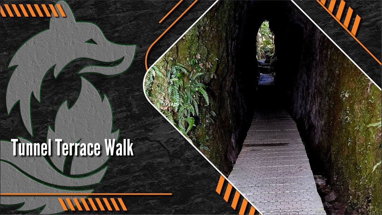 Embark on a virtual exploration of Tunnel Terrace walk